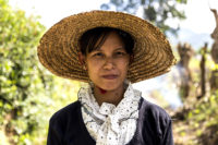 young farmer - nyaungshwe, burma